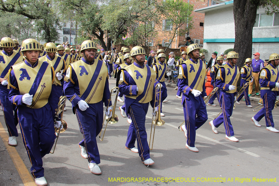 Rex-King-of-Carnival-2026-11849