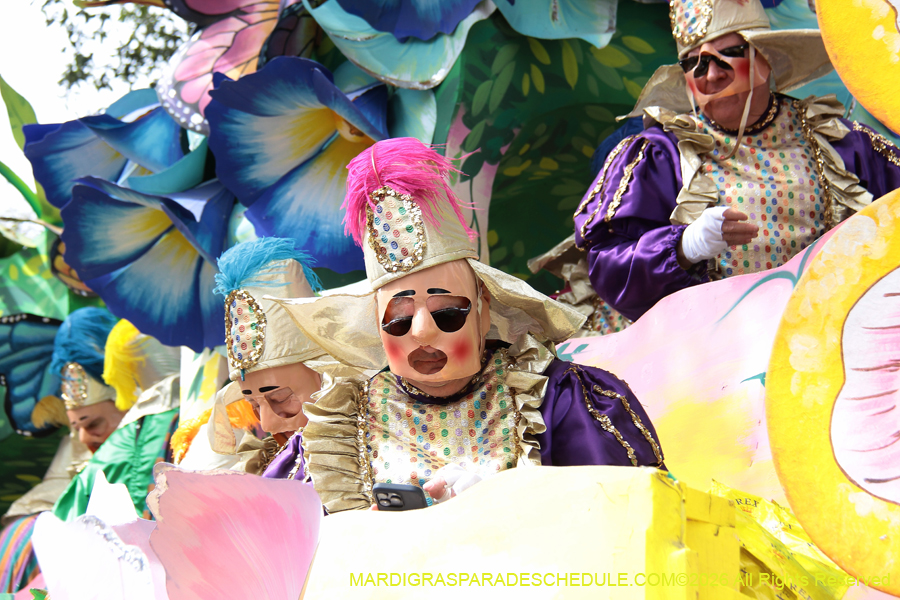 Rex-King-of-Carnival-2026-11859