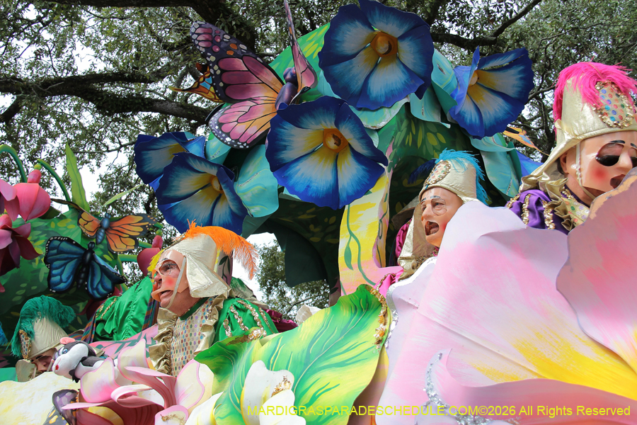 Rex-King-of-Carnival-2026-11861