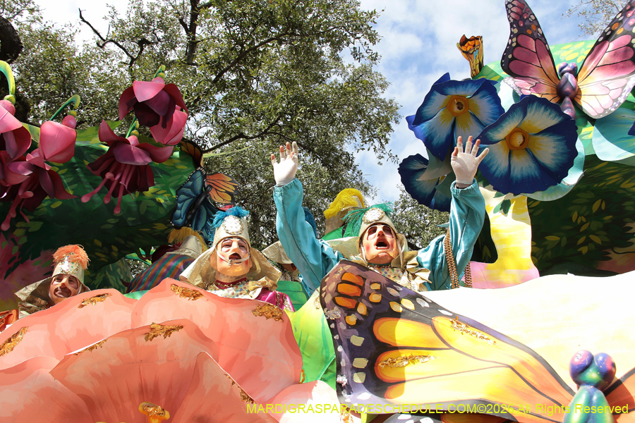 Rex-King-of-Carnival-2026-11863