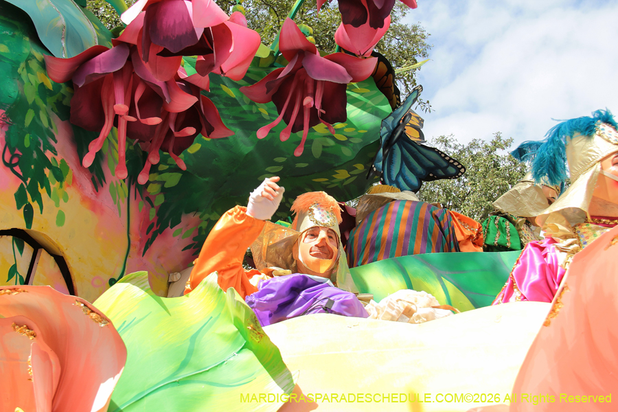 Rex-King-of-Carnival-2026-11864