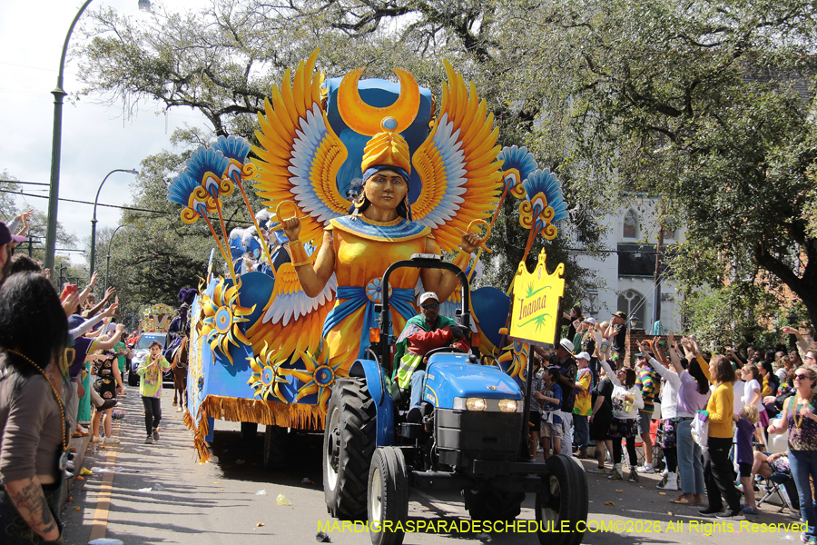 Rex-King-of-Carnival-2026-11901