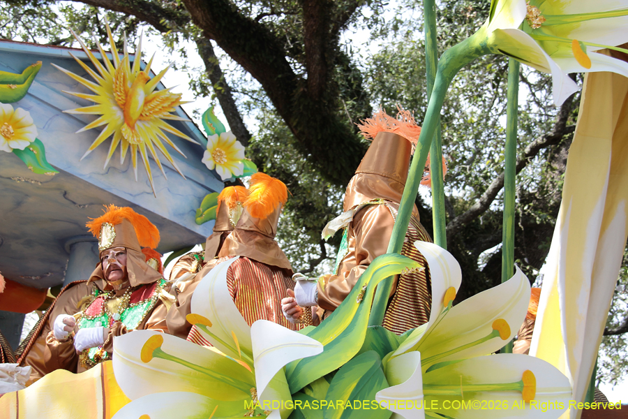 Rex-King-of-Carnival-2026-11911