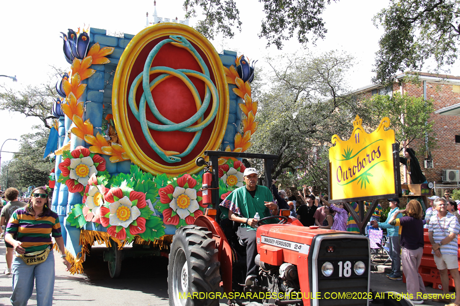 Rex-King-of-Carnival-2026-11918