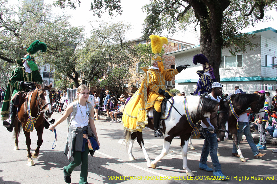 Rex-King-of-Carnival-2026-11926