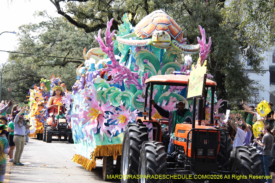 Rex-King-of-Carnival-2026-11937