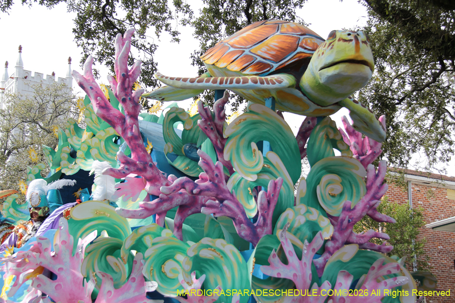 Rex-King-of-Carnival-2026-11939