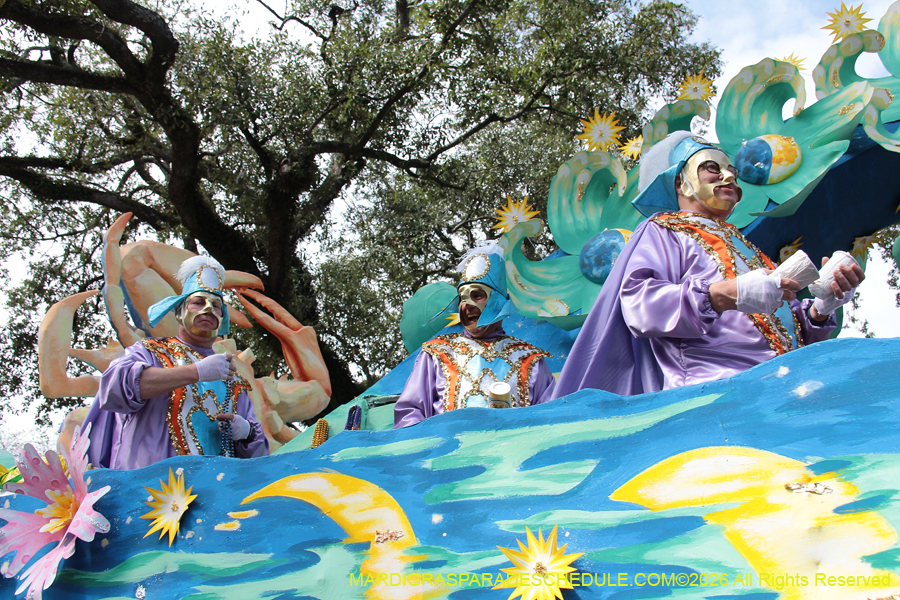 Rex-King-of-Carnival-2026-11943