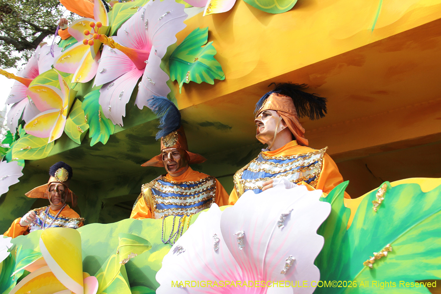 Rex-King-of-Carnival-2026-11949