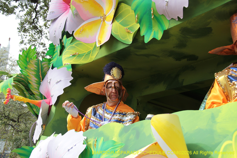 Rex-King-of-Carnival-2026-11950