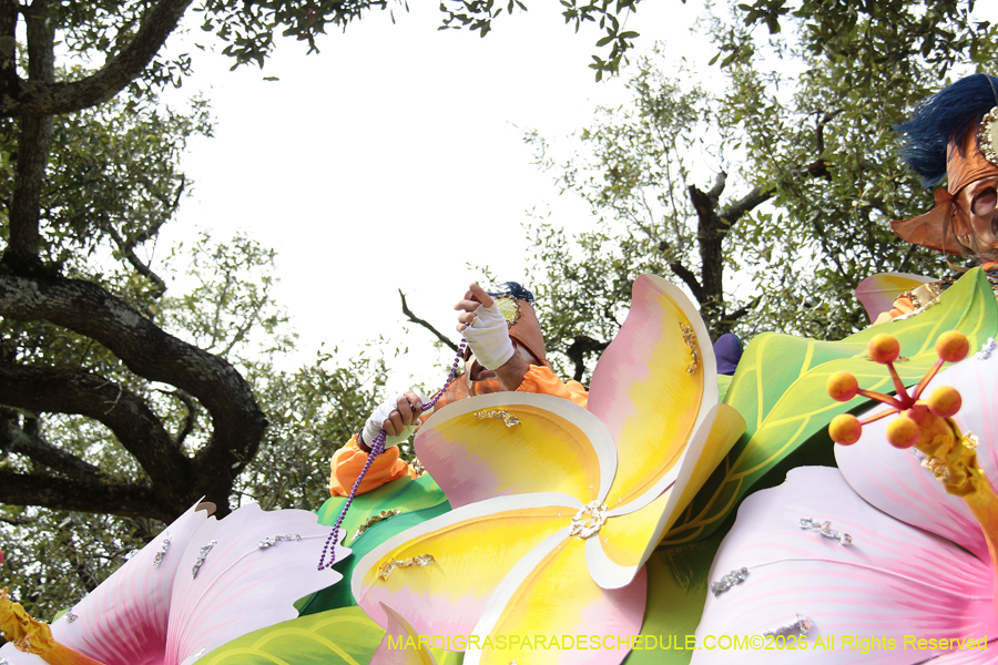 Rex-King-of-Carnival-2026-11951