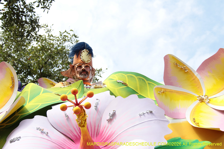 Rex-King-of-Carnival-2026-11952