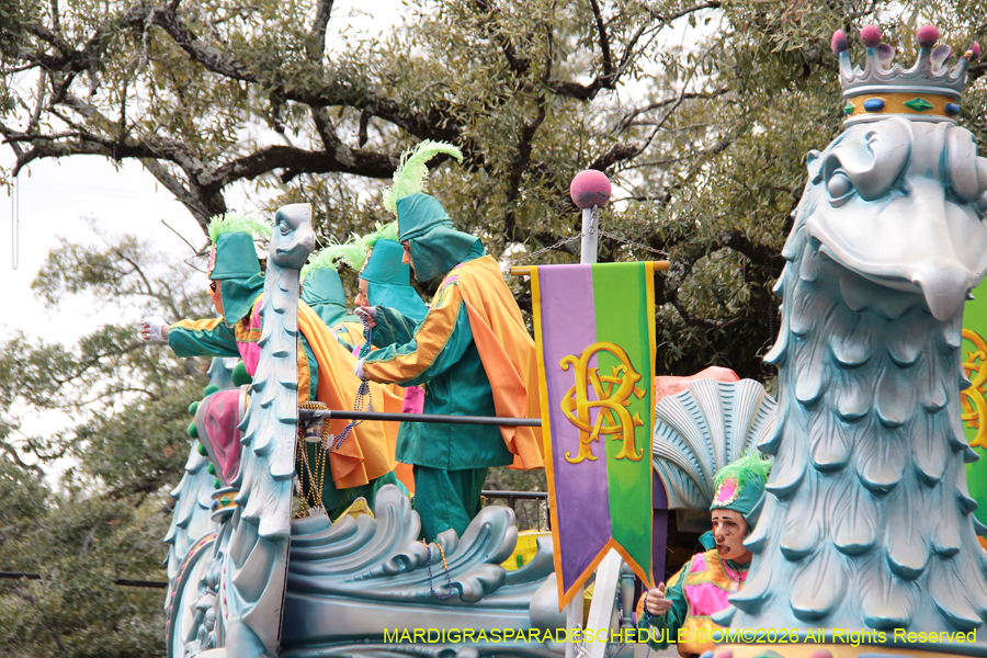 Rex-King-of-Carnival-2026-11958