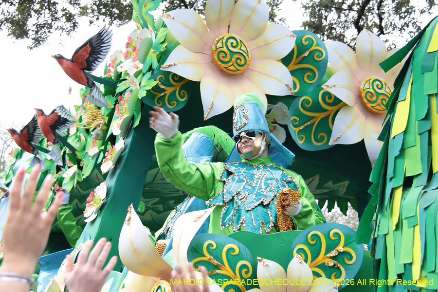 Rex-King-of-Carnival-2026-11968