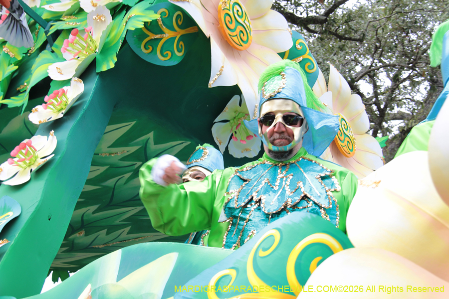 Rex-King-of-Carnival-2026-11969