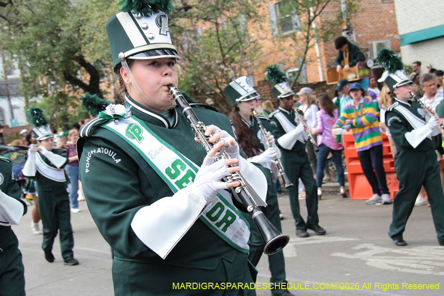 Rex-King-of-Carnival-2026-11978