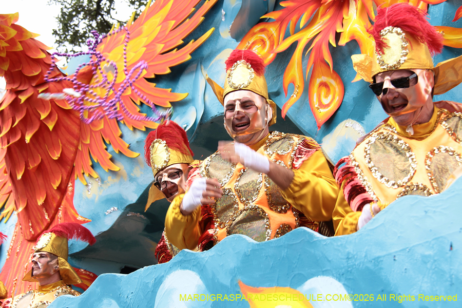 Rex-King-of-Carnival-2026-11984