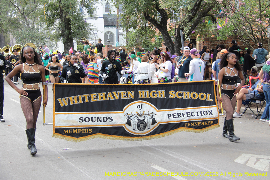 Rex-King-of-Carnival-2026-11987