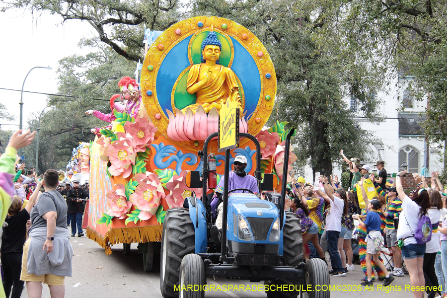 Rex-King-of-Carnival-2026-11994