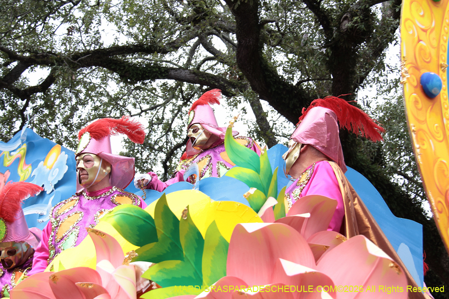 Rex-King-of-Carnival-2026-11995