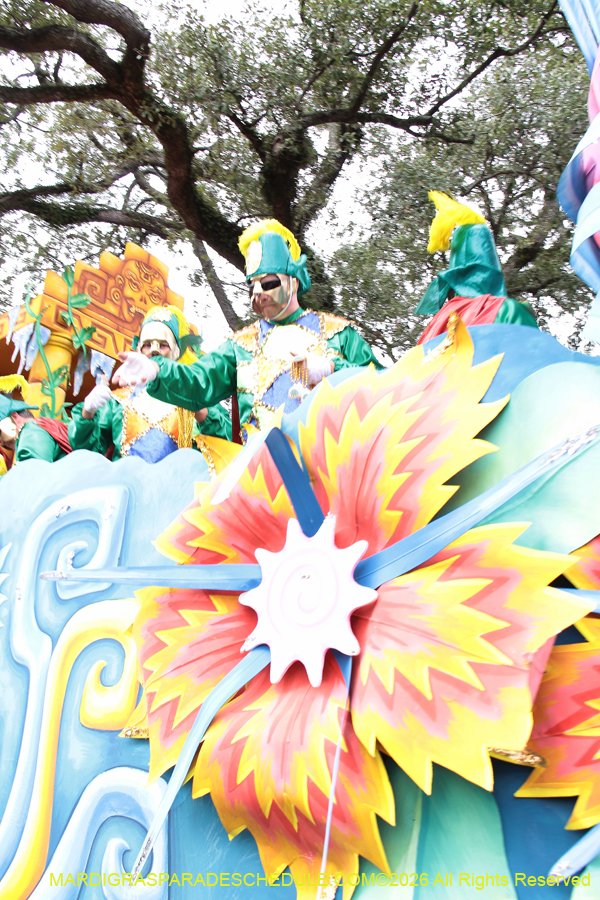 Rex-King-of-Carnival-2026-12009