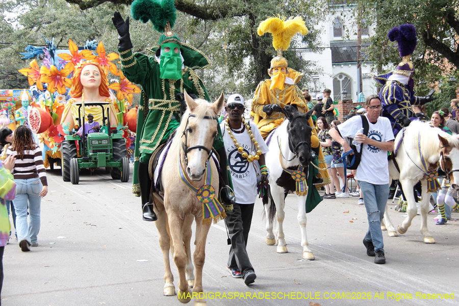 Rex-King-of-Carnival-2026-12013