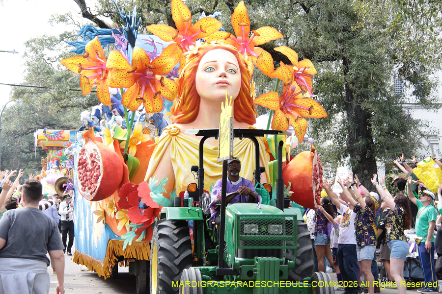 Rex-King-of-Carnival-2026-12014