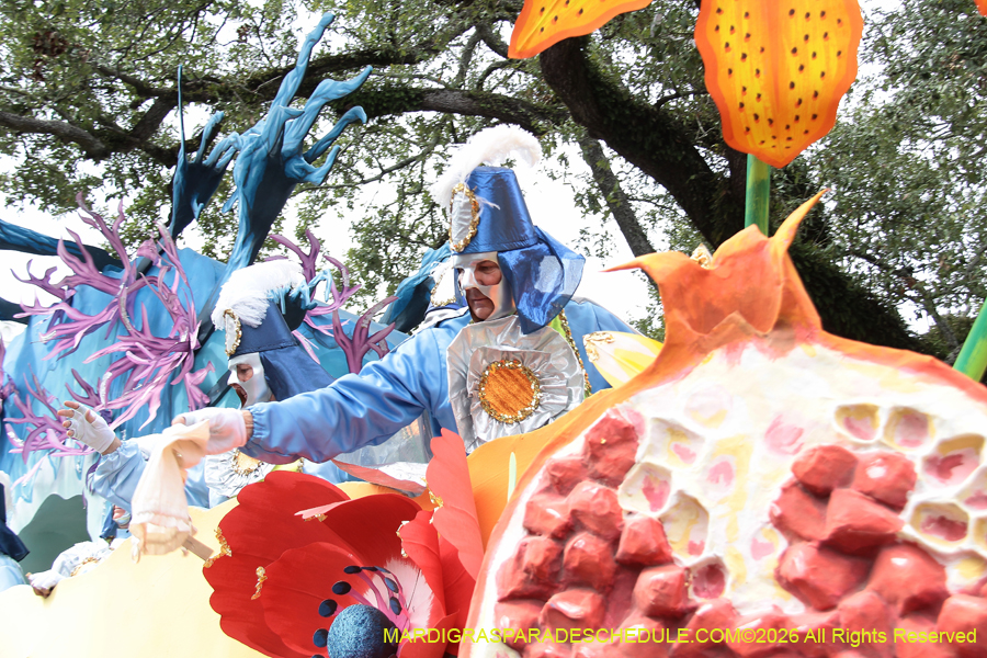 Rex-King-of-Carnival-2026-12016