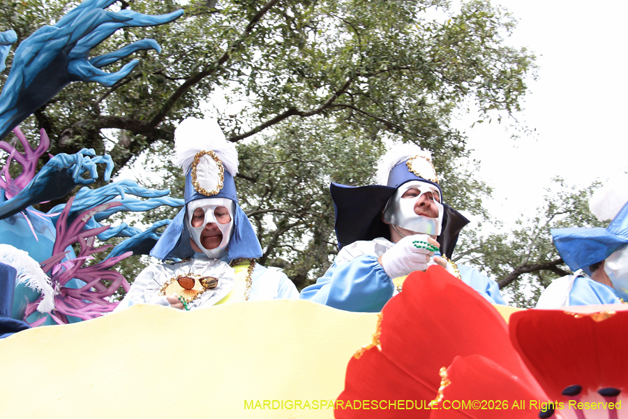 Rex-King-of-Carnival-2026-12017