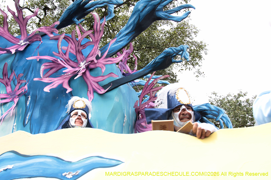 Rex-King-of-Carnival-2026-12018