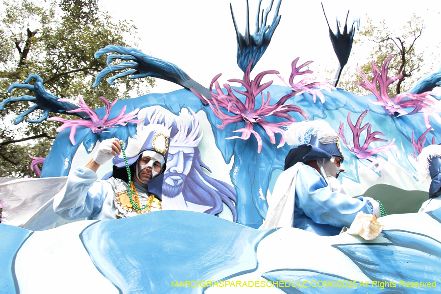 Rex-King-of-Carnival-2026-12019