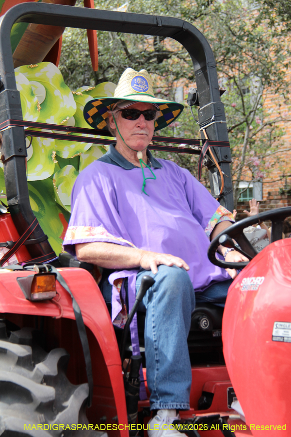 Rex-King-of-Carnival-2026-12031