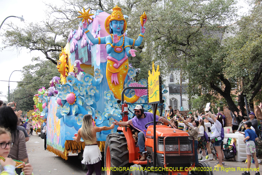 Rex-King-of-Carnival-2026-12038