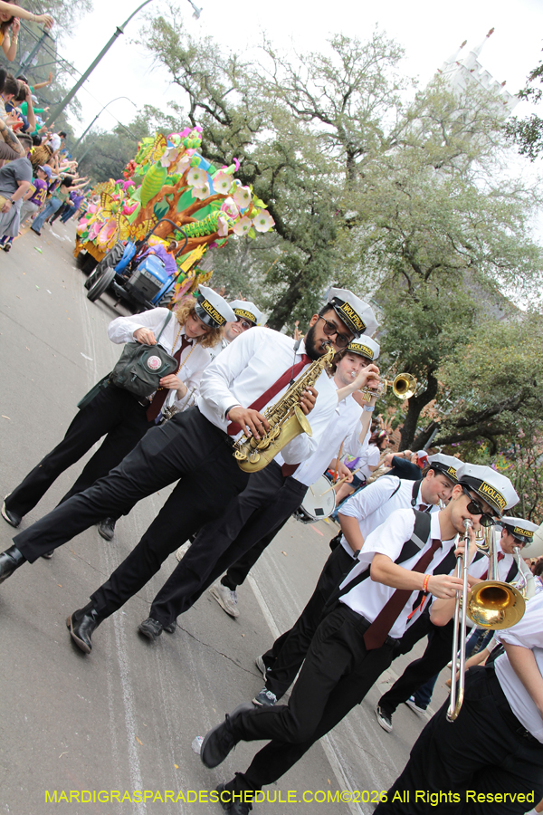 Rex-King-of-Carnival-2026-12046