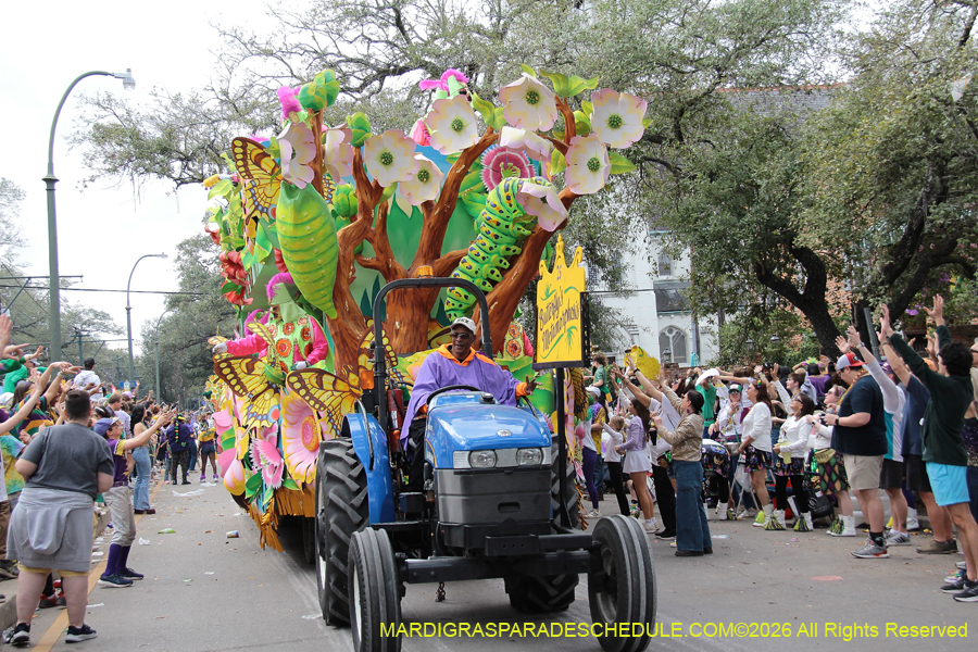 Rex-King-of-Carnival-2026-12048