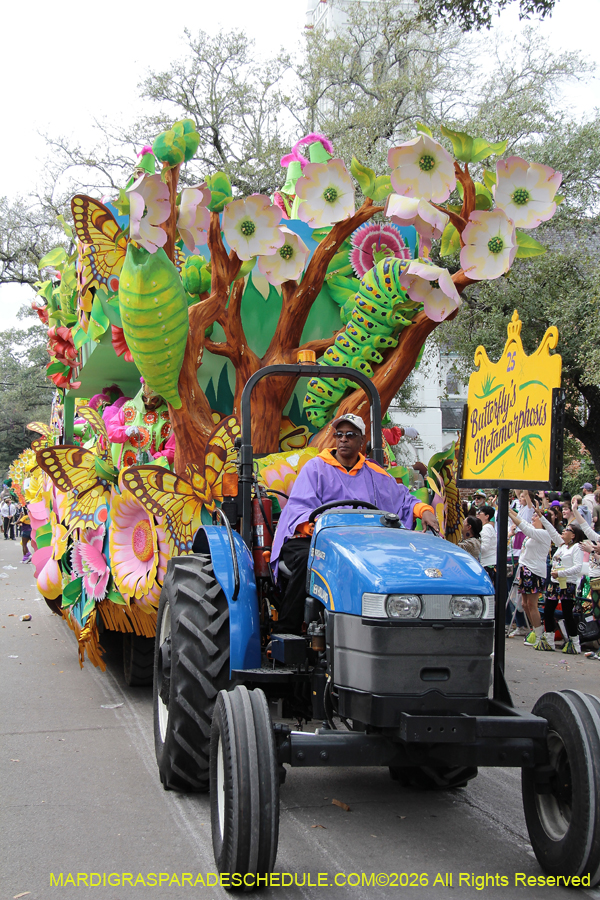 Rex-King-of-Carnival-2026-12049