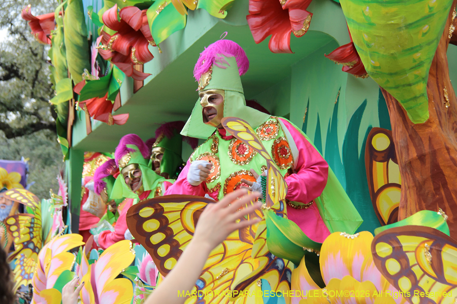 Rex-King-of-Carnival-2026-12050