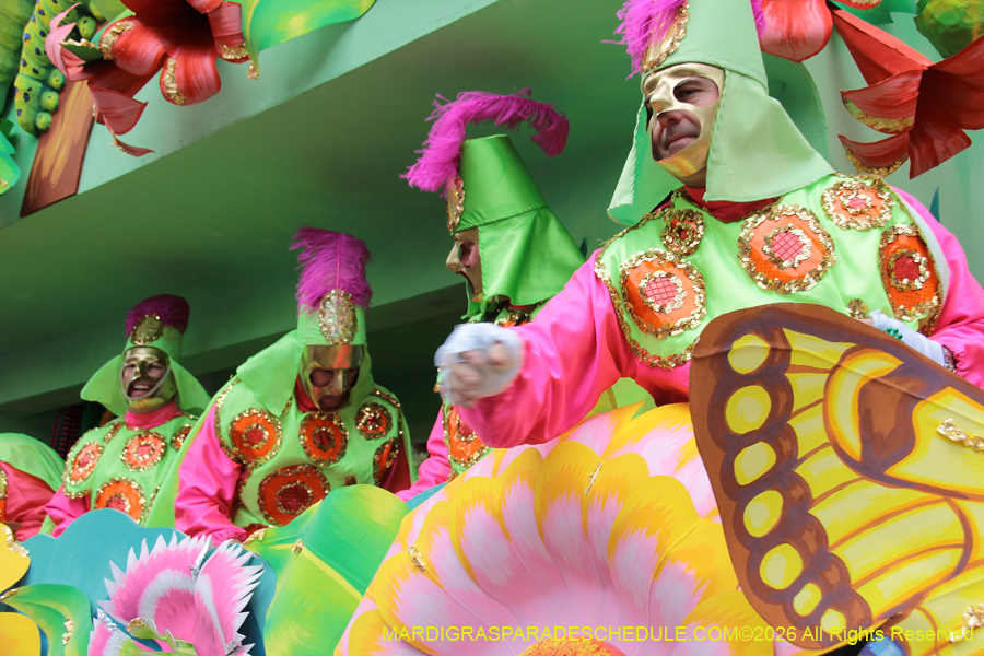 Rex-King-of-Carnival-2026-12051