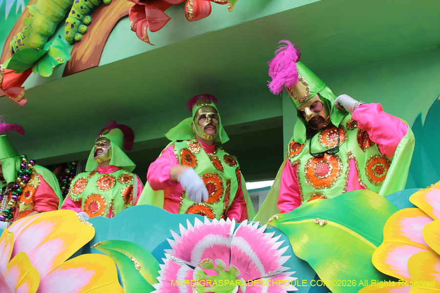 Rex-King-of-Carnival-2026-12052