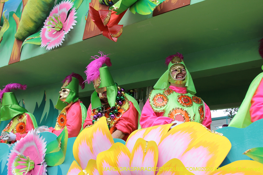 Rex-King-of-Carnival-2026-12053