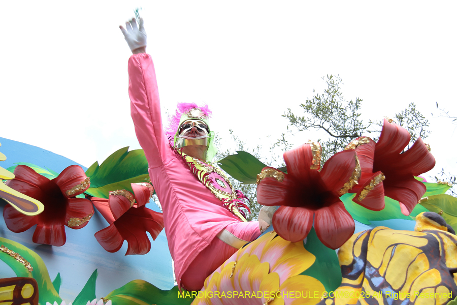 Rex-King-of-Carnival-2026-12055