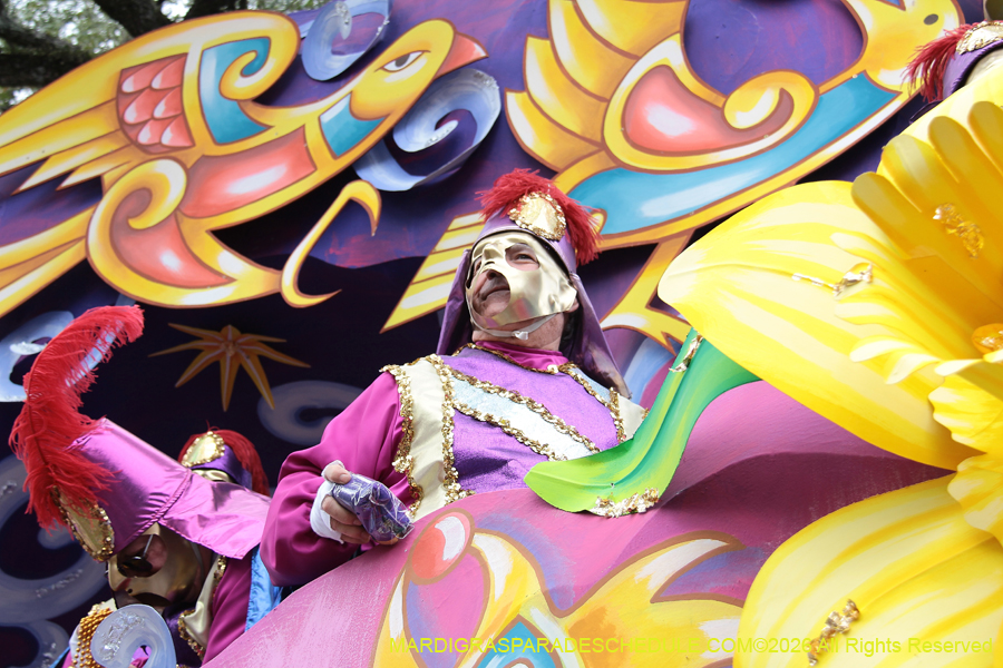 Rex-King-of-Carnival-2026-12061