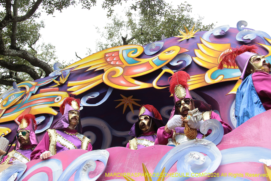 Rex-King-of-Carnival-2026-12062