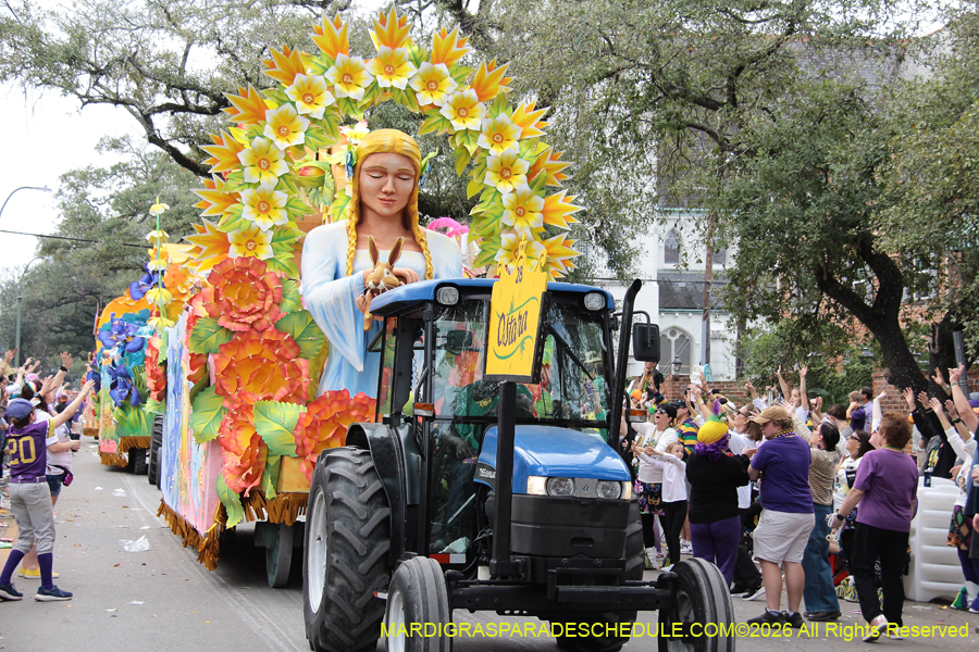 Rex-King-of-Carnival-2026-12068