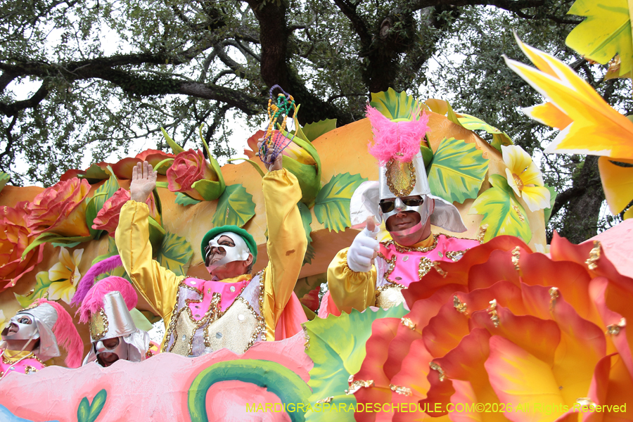 Rex-King-of-Carnival-2026-12070