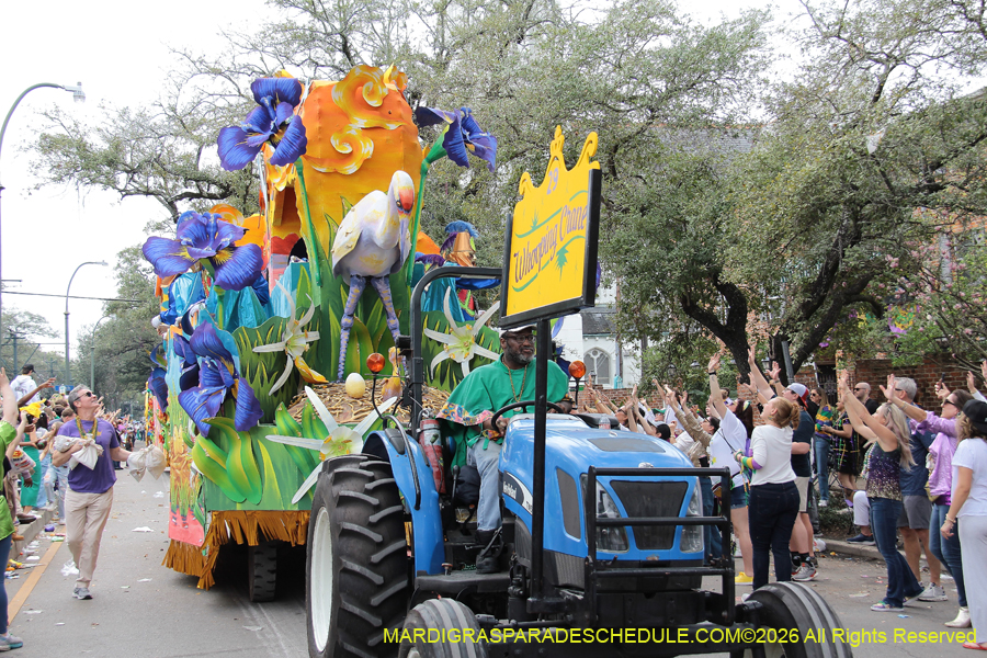 Rex-King-of-Carnival-2026-12074