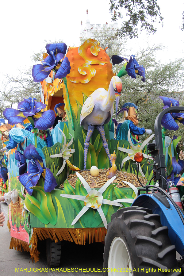 Rex-King-of-Carnival-2026-12075