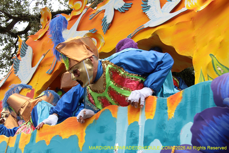 Rex-King-of-Carnival-2026-12076