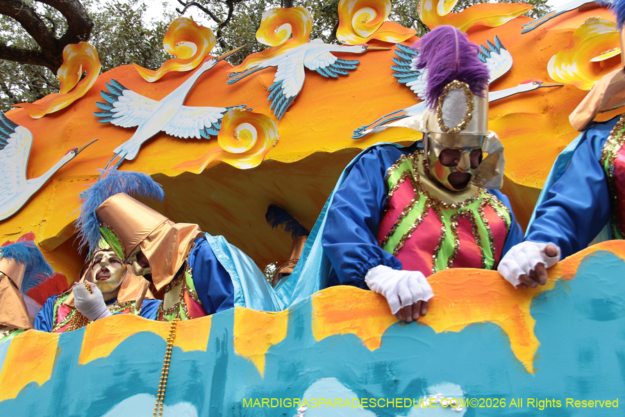 Rex-King-of-Carnival-2026-12077