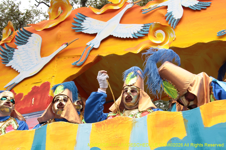 Rex-King-of-Carnival-2026-12078